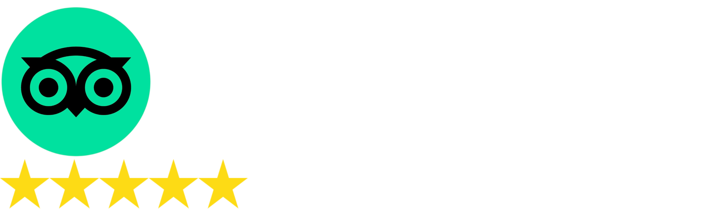 tripadvisor logo